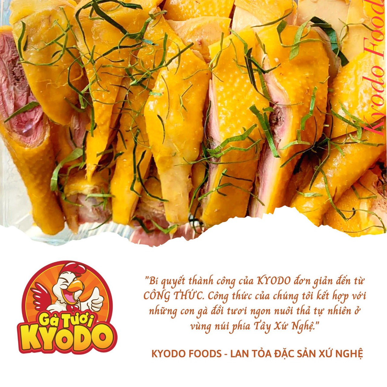 Kyodo Foods chia sẻ : Cách Làm Gà Ủ Muối Ngon Nhất.